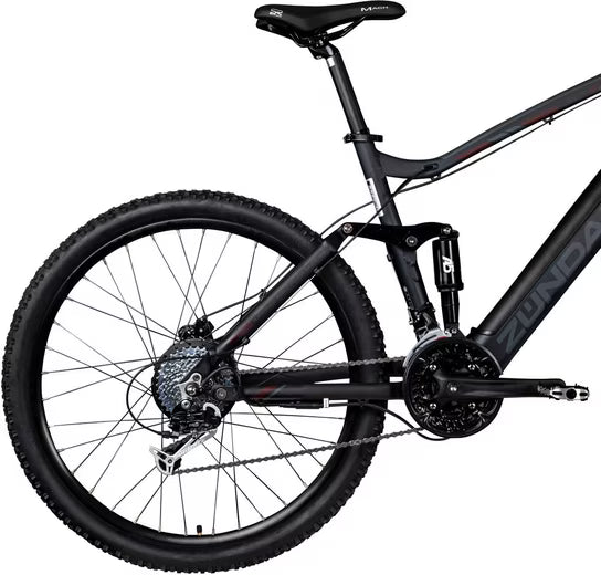E-Bike Mountainbike XFS