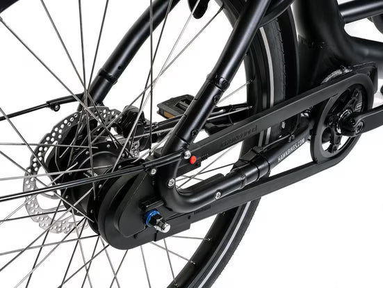 E-Bike Lastenrad E-Cargo 2.2