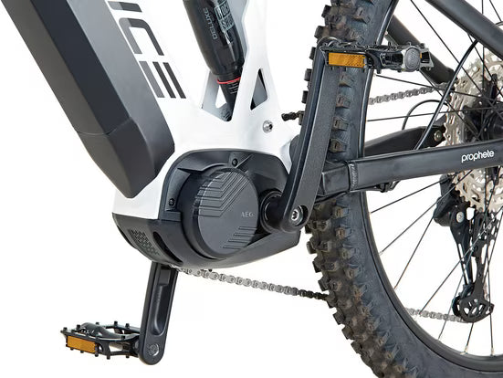 E-Bike Mountainbike DICE 5.0