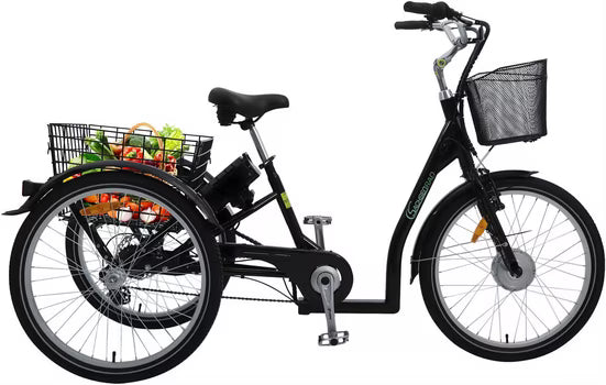 E-Bike Lastenrad T3A