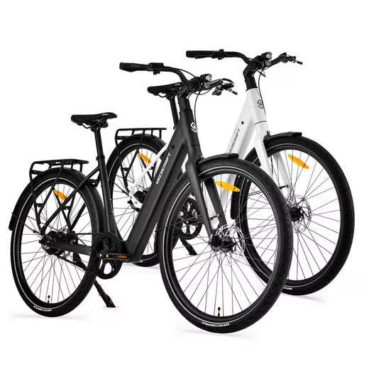 E-Bike Cityrad LUNA 1.0 Zwei Einheiten 360Wh 28 zoll e bike damen Riemenantrieb