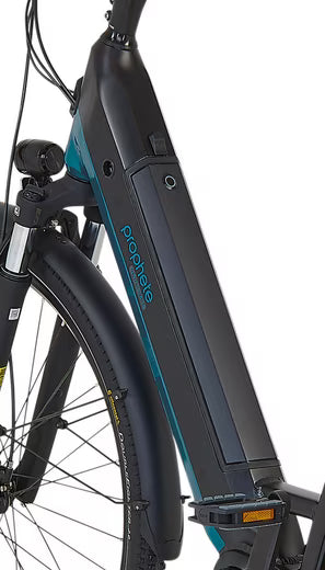 E-Bike Cityrad Geniesser 5.8