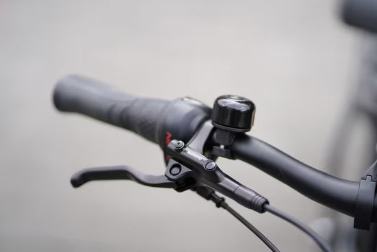 E-Bike Cityrad Geniesser 5.8