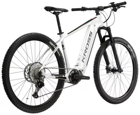 E-Bike Mountainbike E-MTB Level Boost 3.0 29 Zoll weiß
