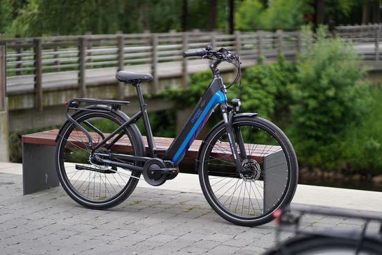 E-Bike Cityrad Geniesser 5.8