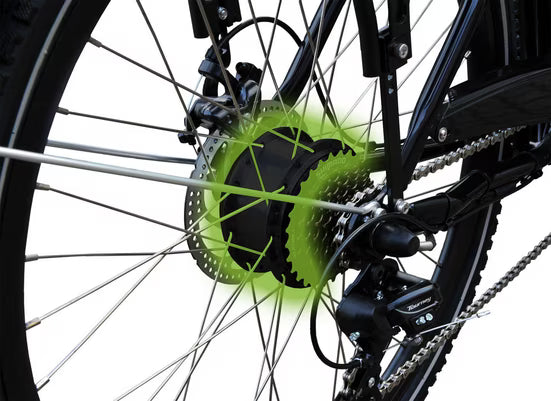 E-Bike Lastenrad