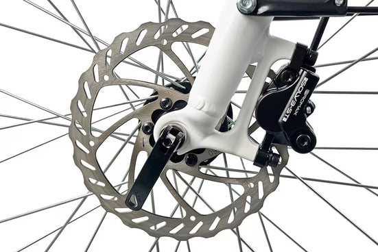 E-Bike Lastenrad Cargo City E-Bike Cargado