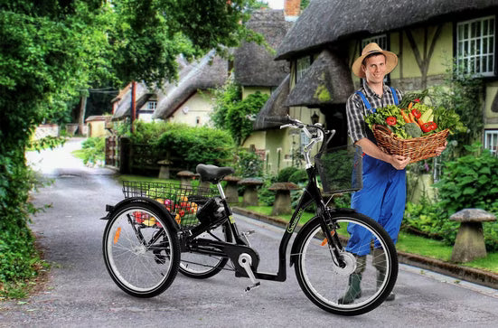 E-Bike Lastenrad T3A