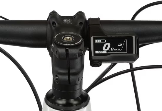 E-Bike Mountainbike E-MTB Level Boost 3.0 29 Zoll weiß