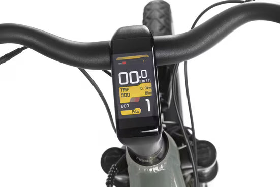 E-Bike Trekkingrad MTS-21X